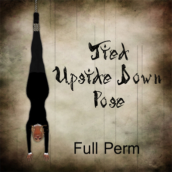 Second Life Marketplace - FULL PERM Tied Upside Down Pose